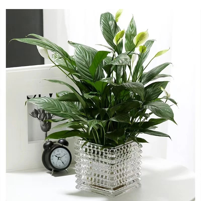 Clear Square Glass Vase Geometric Flower Pot Floral Arrangement Accessories Terrarium Home Decoration