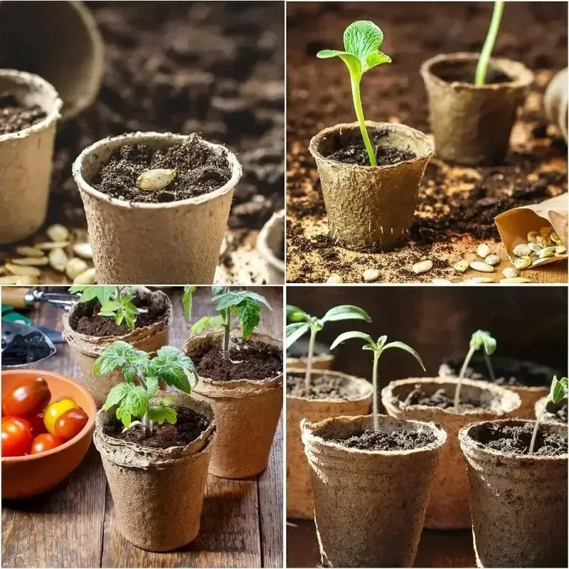 Peat Pots Biodegradable Transplanters Pulp Paper Flower Plant Seedlings Pots Seed Germination Tray Eco Garden Starter Kit