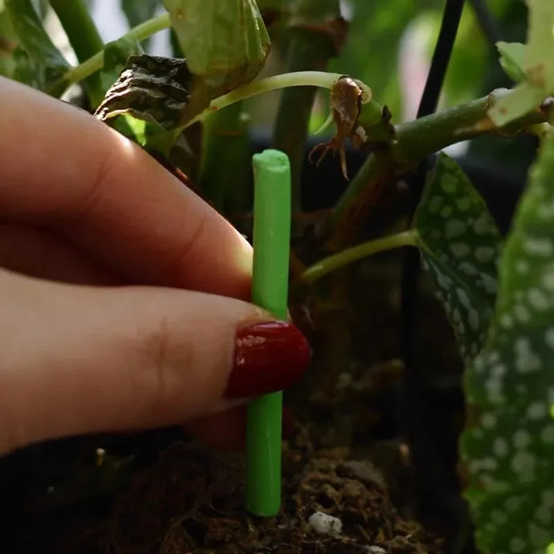 Plant Slow-release Sticks Nutrient Stick Universal Indoor Potted Flower Pot Plants Fertilizer Bars Enhancer Garden Accessories
