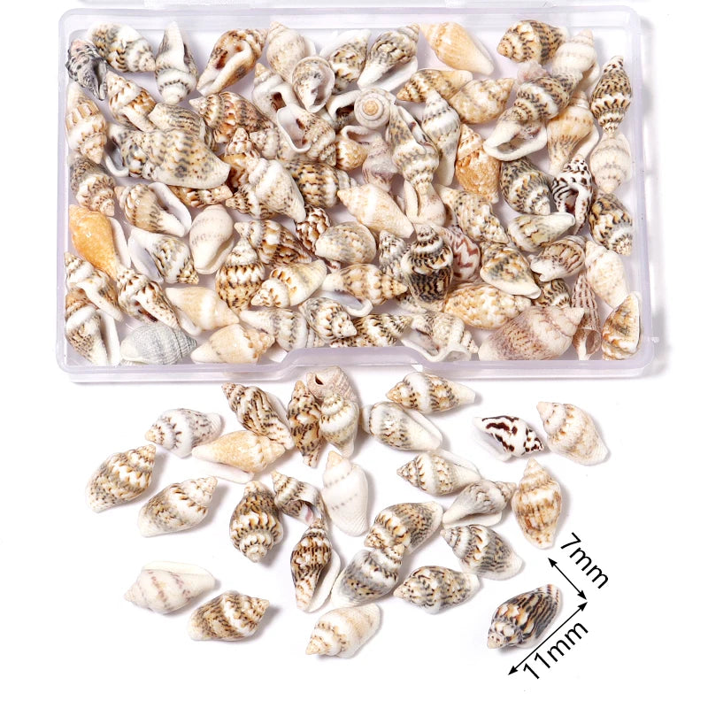 1 Box Sea Shells Spiral Shell Tiny Ocean Spiral Seashells Crafts Aquarium Decoration Landscaping Accessories Photography Props