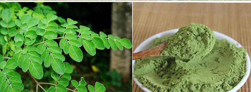 Moringa P-o-w-der Organic