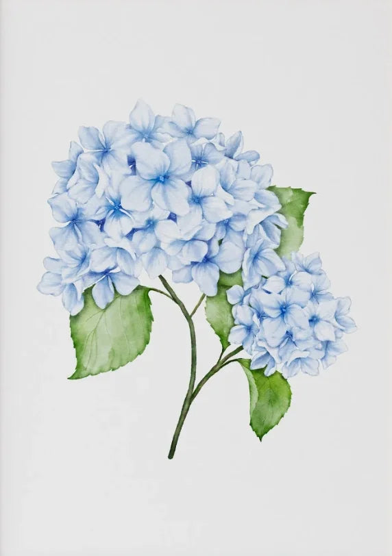 1PC/3PCS Hydrangea Wall Art Prints Light Blue Art Minimalist Flower Print Botanical Room Decor Hamptons Wall Art